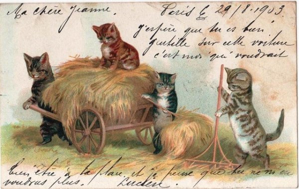 画像1: 藁を集める猫たち　Helena Maguire (1)