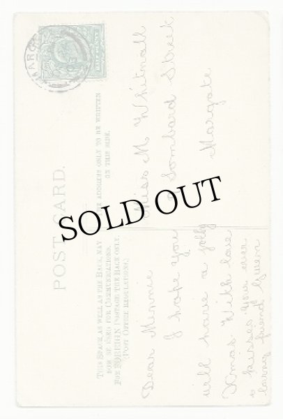 画像2: 子猫の身支度を手伝うママ猫　Helena Maguire (2)