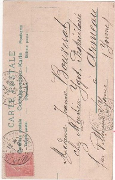 画像2: 藁を集める猫たち Helena Maguire (2)