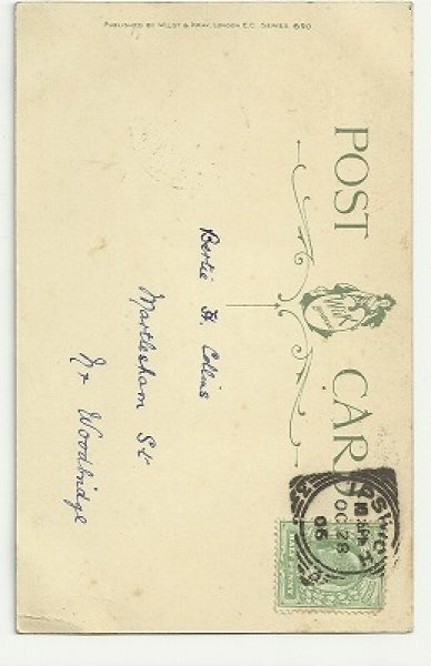 画像2: 猫と犬 Helena Maguire (2)