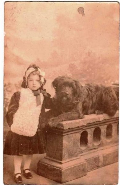 画像1: 肖像写真　女の子と大きな黒犬 (1)