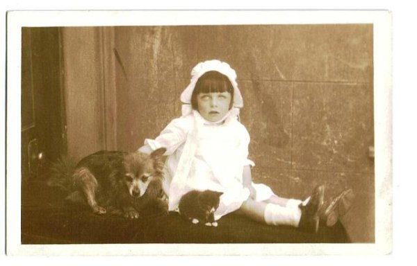 画像1: 肖像写真　女の子と子猫と犬 (1)