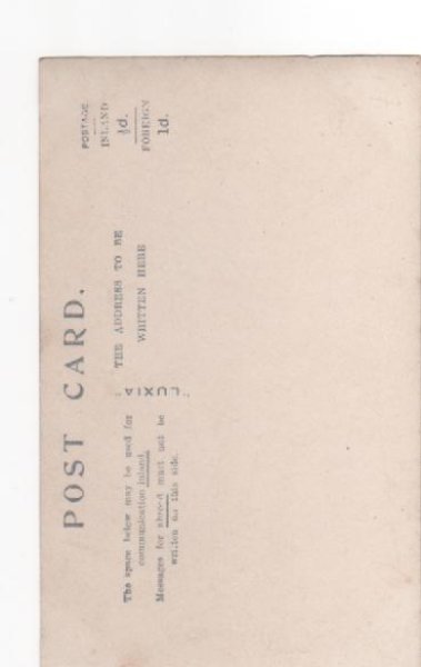 画像2: 肖像写真　猫と女の子たち (2)