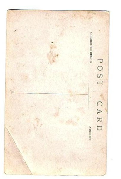 画像2: 肖像写真 お人形と女の子 (2)