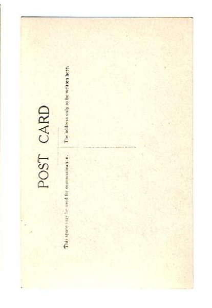 画像2: 肖像写真　５人姉妹 (2)