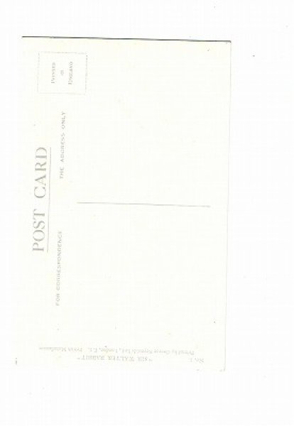 画像2: ウサギさんの雨宿り　キノコの傘　Dorren M Parr (2)