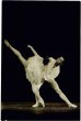 画像1: バレエダンサー　オランダ　HET NEDERLANDS BALLET (1)