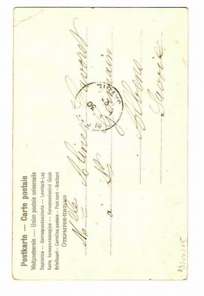 画像2: スミレのお花 (2)