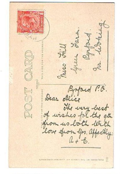 画像2: スミレのお花 (2)