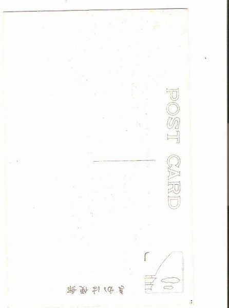 画像2: 古絵葉書　栄町中島百貨店通り　看板 (2)