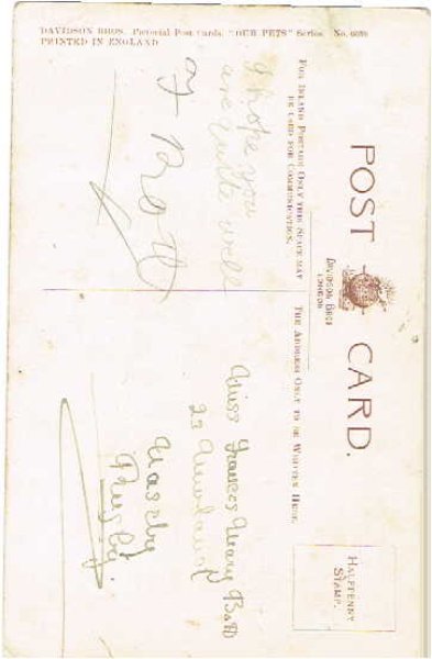 画像2: 仔犬と女の子 (2)