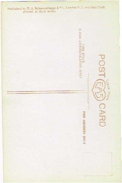 画像2: 白鳩と女の子 (2)