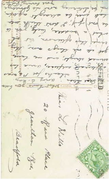 画像2: 絵本とジョアン (2)