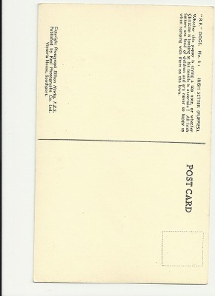 画像2: 女の子とアイリッシュ・セッターの仔犬 (2)