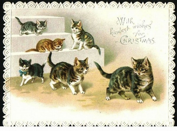 画像1: 階段と6匹の猫たち　Helena Maguire (1)