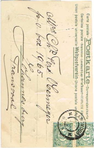 画像2: 猫の学校 算数の時間 Helena Maguire (2)