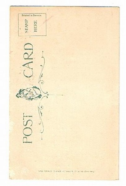 画像2: 猫のシーソー遊び Helena Maguire (2)