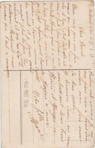 画像2: 猫の親子 Helena Maguire (2)