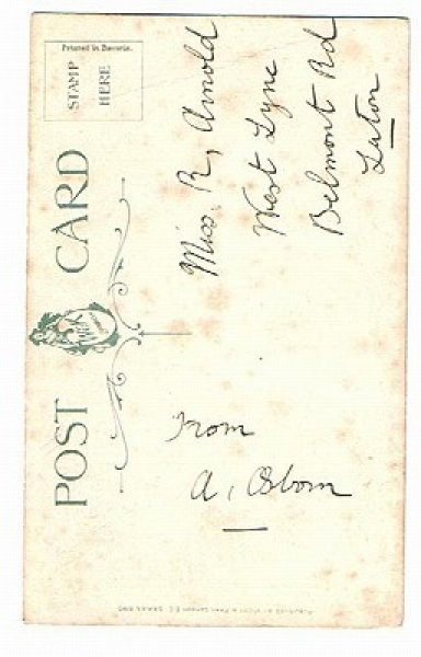 画像2: 犬と猫 Helena Maguire (2)