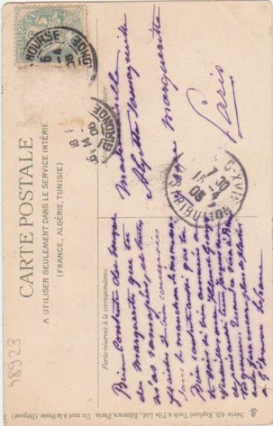 画像2: ボールで遊ぶ犬たち Helena Maguire (2)