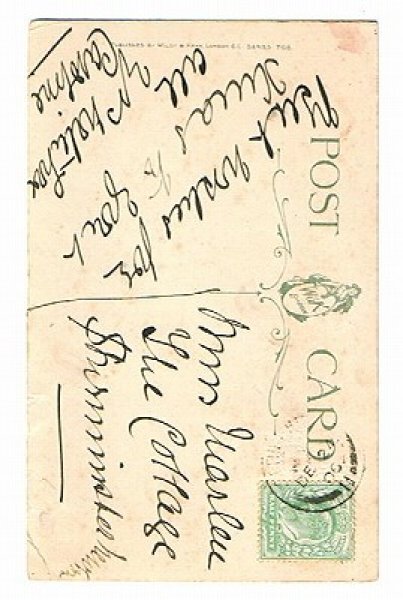 画像2: 輪くぐりをする猫 Helena Maguire (2)