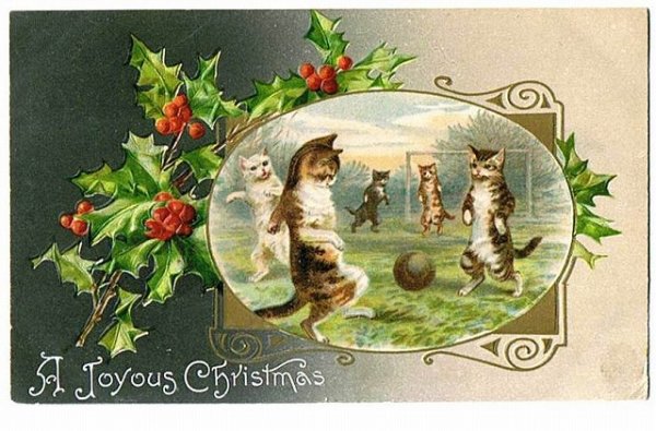 画像1: サッカーをする猫たち　クリスマスカード　Helena Maguire (1)