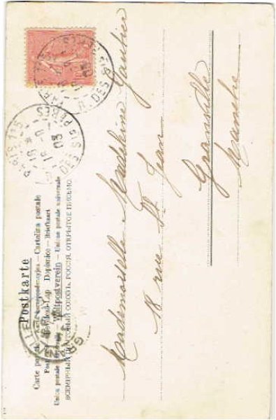 画像2: 猫馬車 Helena Maguire (2)