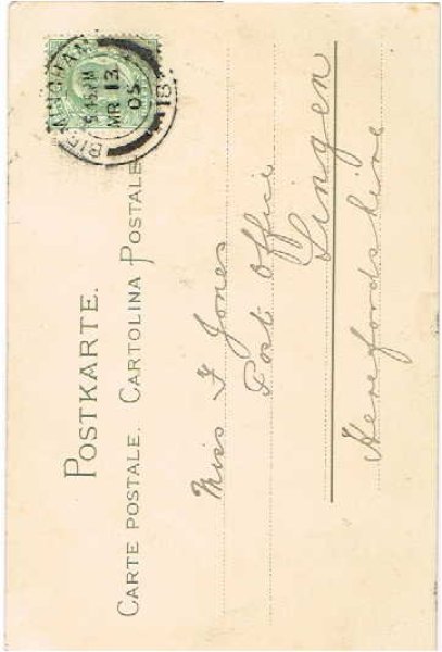 画像2: 干し草を集める猫 Helena Maguire (2)