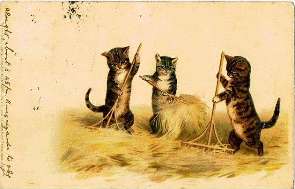 画像1: 干し草を集める猫　Helena Maguire (1)