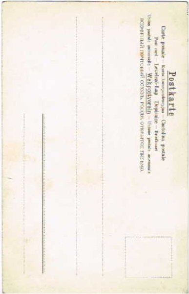 画像2: 氷の上を歩く豚 Helena Maguire (2)