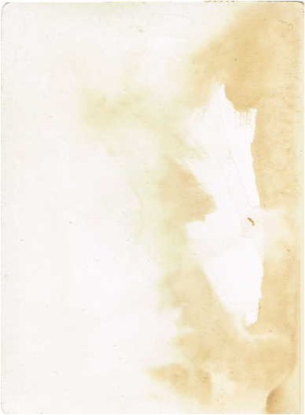 画像2: ボウルに入った犬達 Helena Maguire (2)