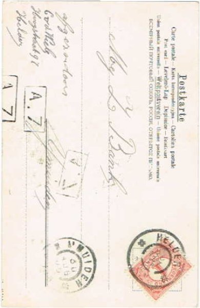 画像2: 雪道を歩く豚 Helena Maguire (2)