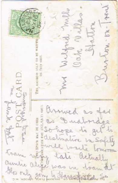 画像2: パグ犬 Helena Maguire (2)