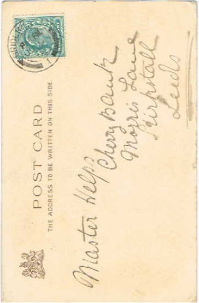 画像2: 遊ぶ猫たち Helena Maguire (2)