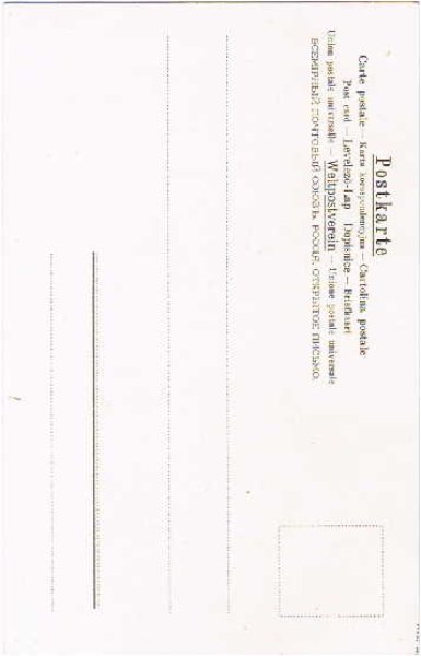 画像2: 雪道を歩く豚 Helena Maguire (2)