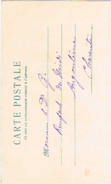 画像2: 足を洗う猫 Helena Maguire (2)