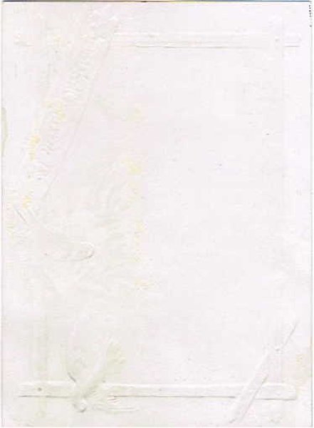 画像2: 仔猫と仔犬 Helena Maguire (2)