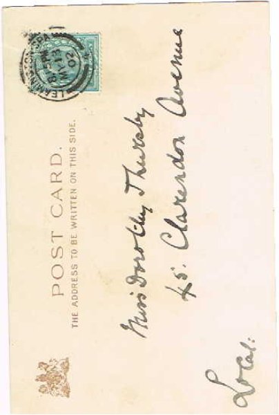 画像2: まくら投げをする猫たち Helena Maguire (2)