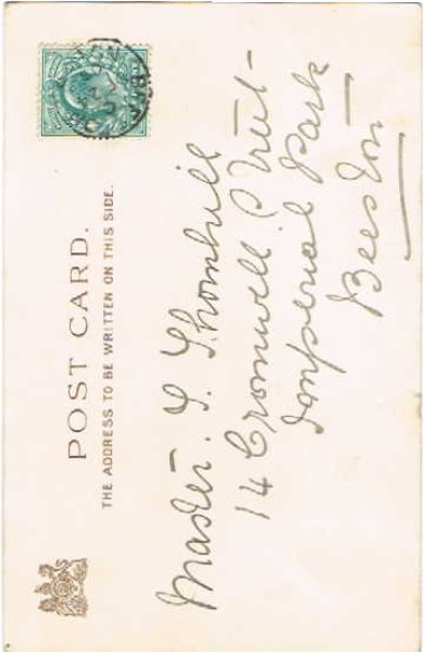 画像2: まくら投げをする猫たち Helena Maguire (2)