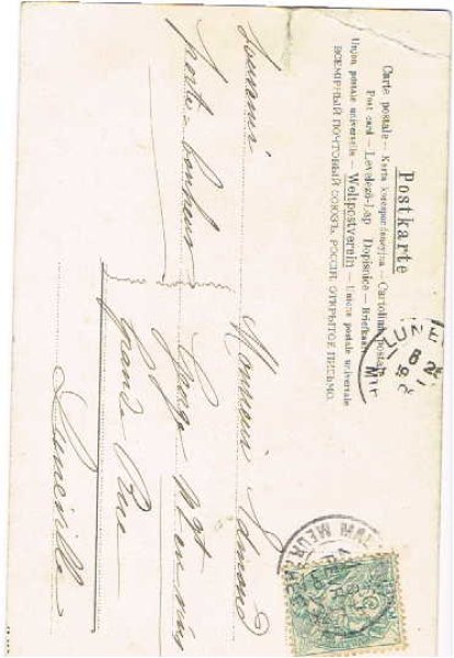 画像2: 豚の親子 Helena Maguire (2)