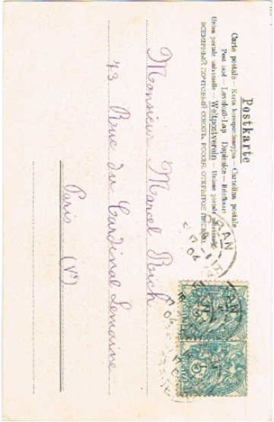 画像2: みんなで遊ぶ豚 Helena Maguire (2)