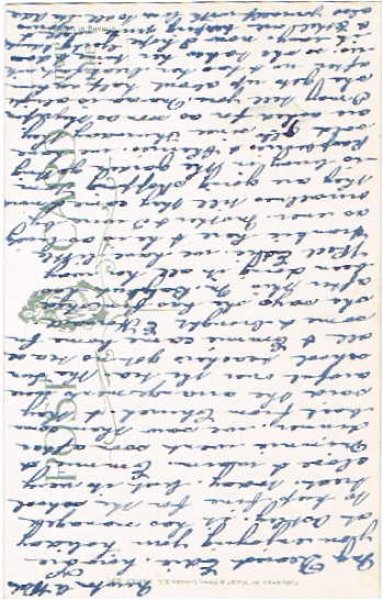 画像2: 2匹の犬 Helena Maguire (2)