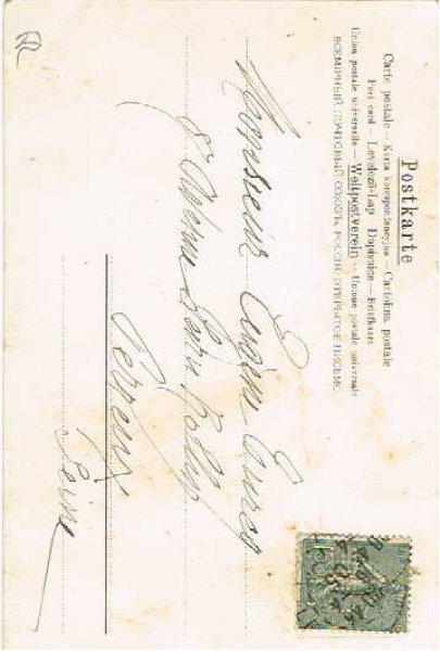 画像2: みんなでお出かけする犬達 Helena Maguire (2)