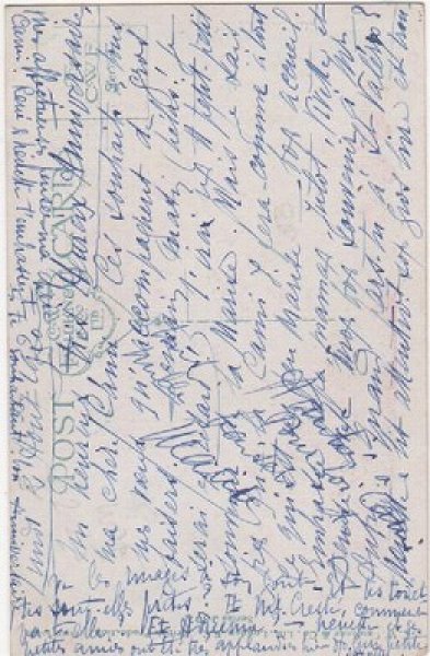 画像2: 塀越しに恋する猫たち (2)