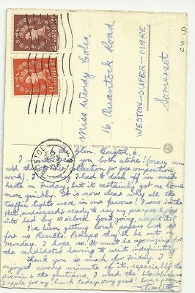 画像2: 汽車が出発するよ!猫 Mainzer cat (2)