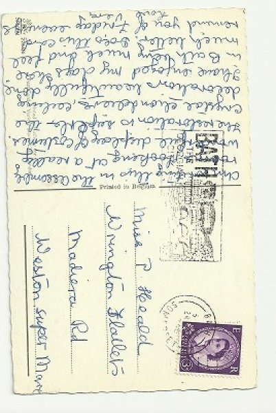 画像2: 歌の練習会 Mainzer cat (2)