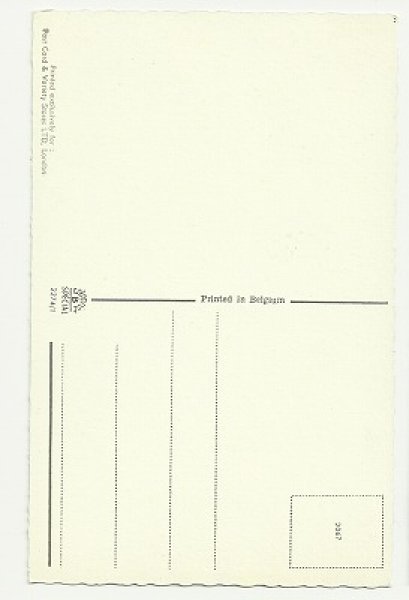 画像2: 汽車が出発するよ! 猫 Mainzer cat (2)