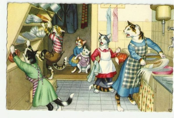 画像1: 倒れる食器棚！　お皿洗いのお手伝い猫　Mainzer cat (1)