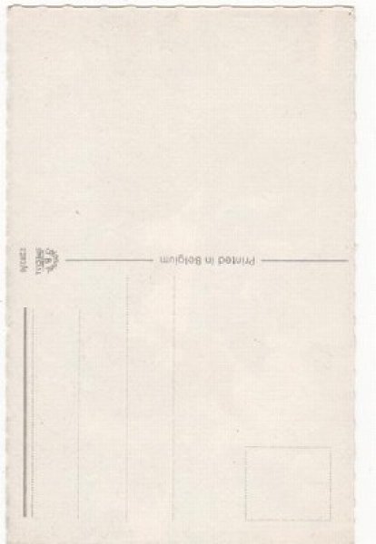 画像2: 猫の加工肉屋さん Mainzer cat (2)