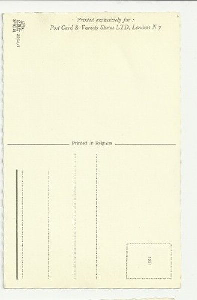 画像2: 倒れる食器棚! お皿洗いのお手伝い猫 Mainzer cat (2)